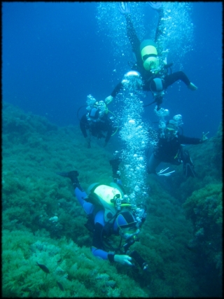  Buceo en Córcega.JPG 